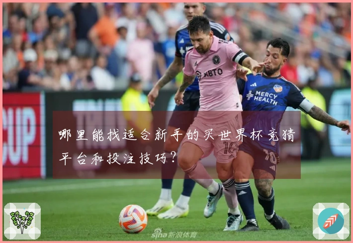 哪里能找适合新手的买世界杯竞猜平台和投注技巧？