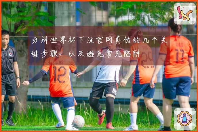 分辨世界杯下注官网真伪的几个关键步骤,以及避免常见陷阱