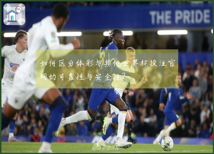 如何区分体彩与其他世界杯投注官网的可靠性与安全性？
