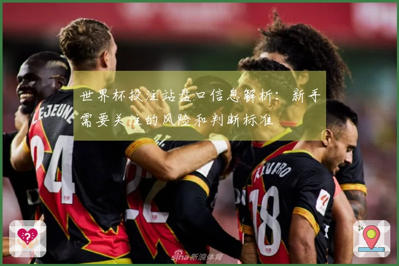 世界杯投注站盘口信息解析：新手需要关注的风险和判断标准