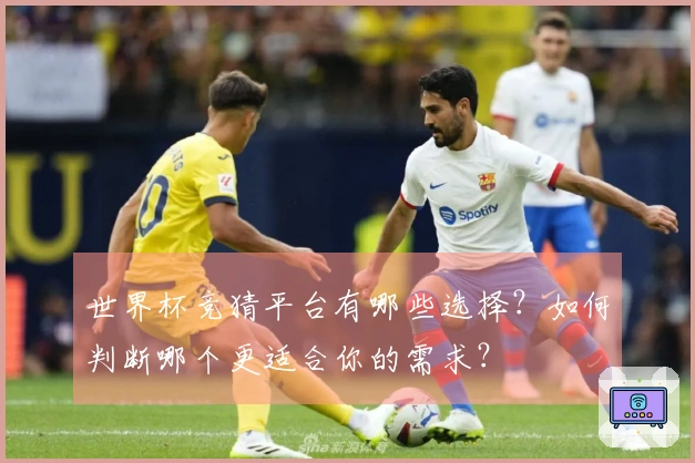 世界杯竞猜平台有哪些选择？如何判断哪个更适合你的需求？