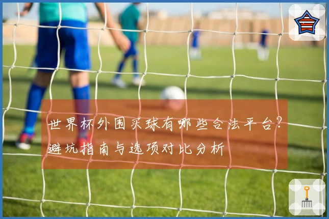 世界杯外围买球有哪些合法平台?避坑指南与选项对比分析