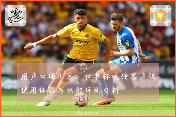 用户口碑汇总：世界杯竞猜客户端使用体验与功能评测分析