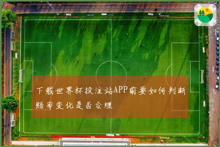 下载世界杯投注站APP前要如何判断赔率变化是否合理
