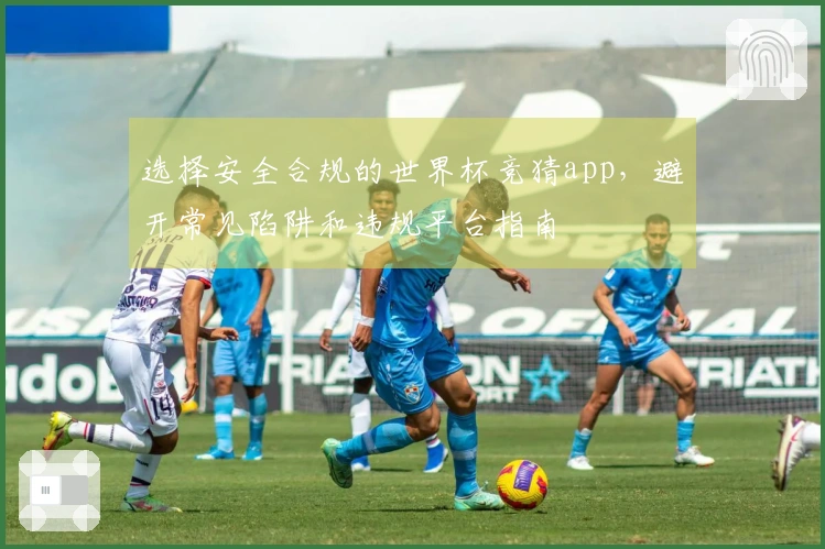选择安全合规的世界杯竞猜app，避开常见陷阱和违规平台指南