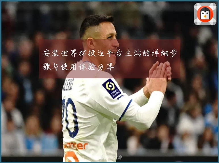 安装世界杯投注平台主站的详细步骤与使用体验分享