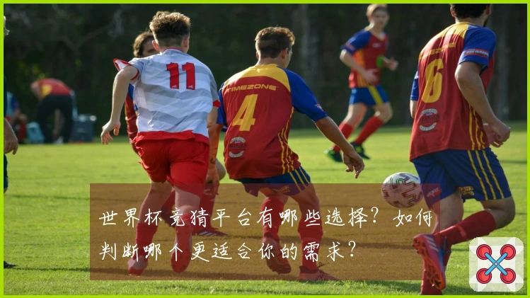 世界杯竞猜平台有哪些选择？如何判断哪个更适合你的需求？