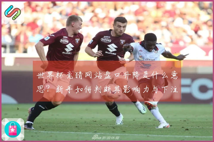 世界杯竞猜网站盘口升降是什么意思？新手如何判断其影响力与下注策略