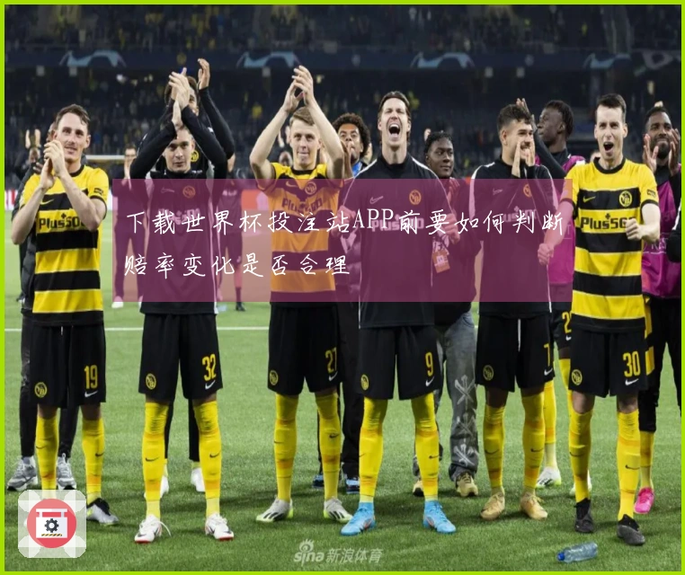下载世界杯投注站APP前要如何判断赔率变化是否合理