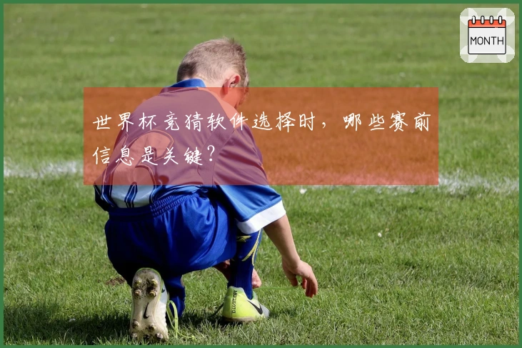 世界杯竞猜软件选择时，哪些赛前信息是关键？