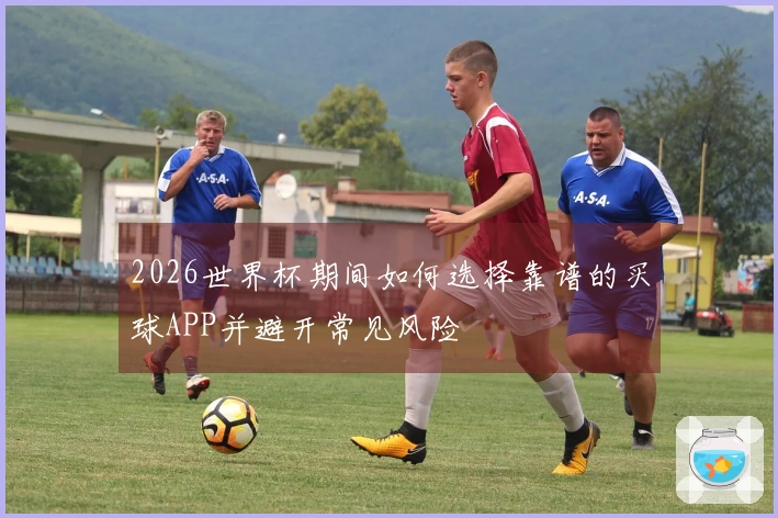 2026世界杯期间如何选择靠谱的买球APP并避开常见风险