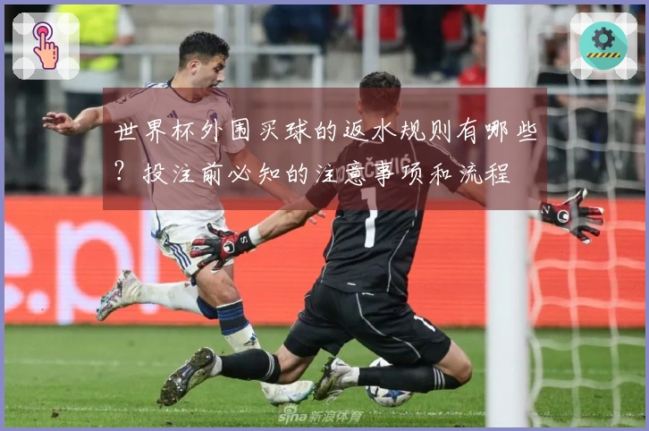 世界杯外围买球的返水规则有哪些？投注前必知的注意事项和流程