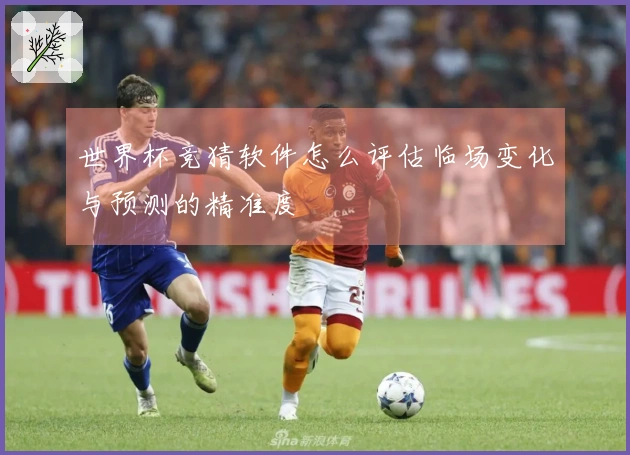 世界杯竞猜软件怎么评估临场变化与预测的精准度