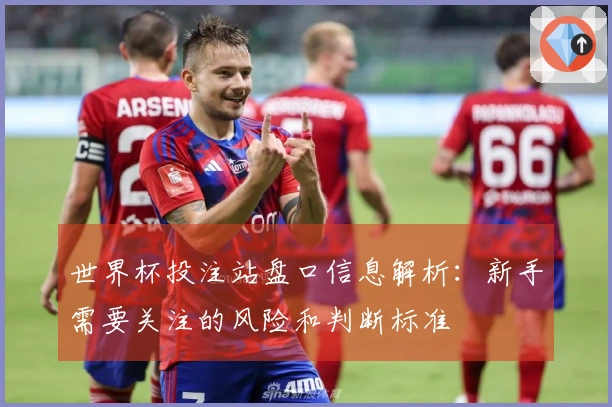 世界杯投注站盘口信息解析：新手需要关注的风险和判断标准